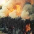 Préserver Vence des feux de forêts