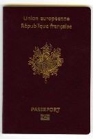 Free Electronic passport for the less than 15 years