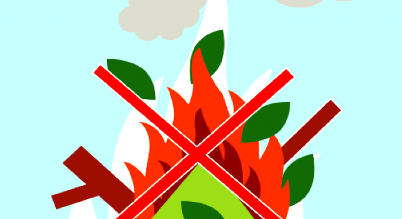 Brûlage des végétaux interdits