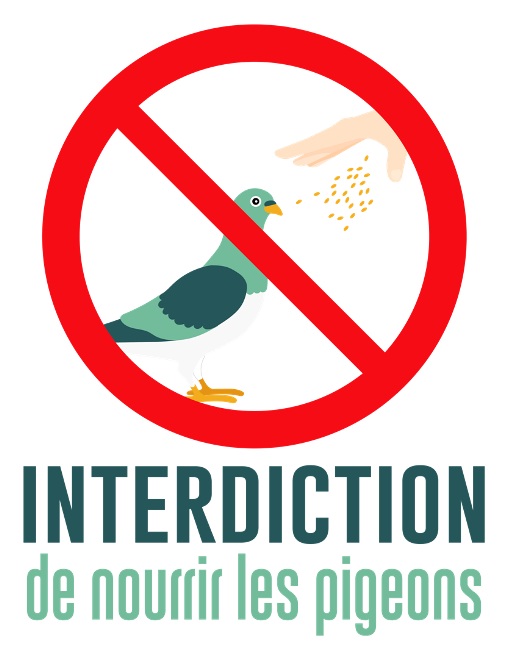 Stop au nourrissage des pigeons !