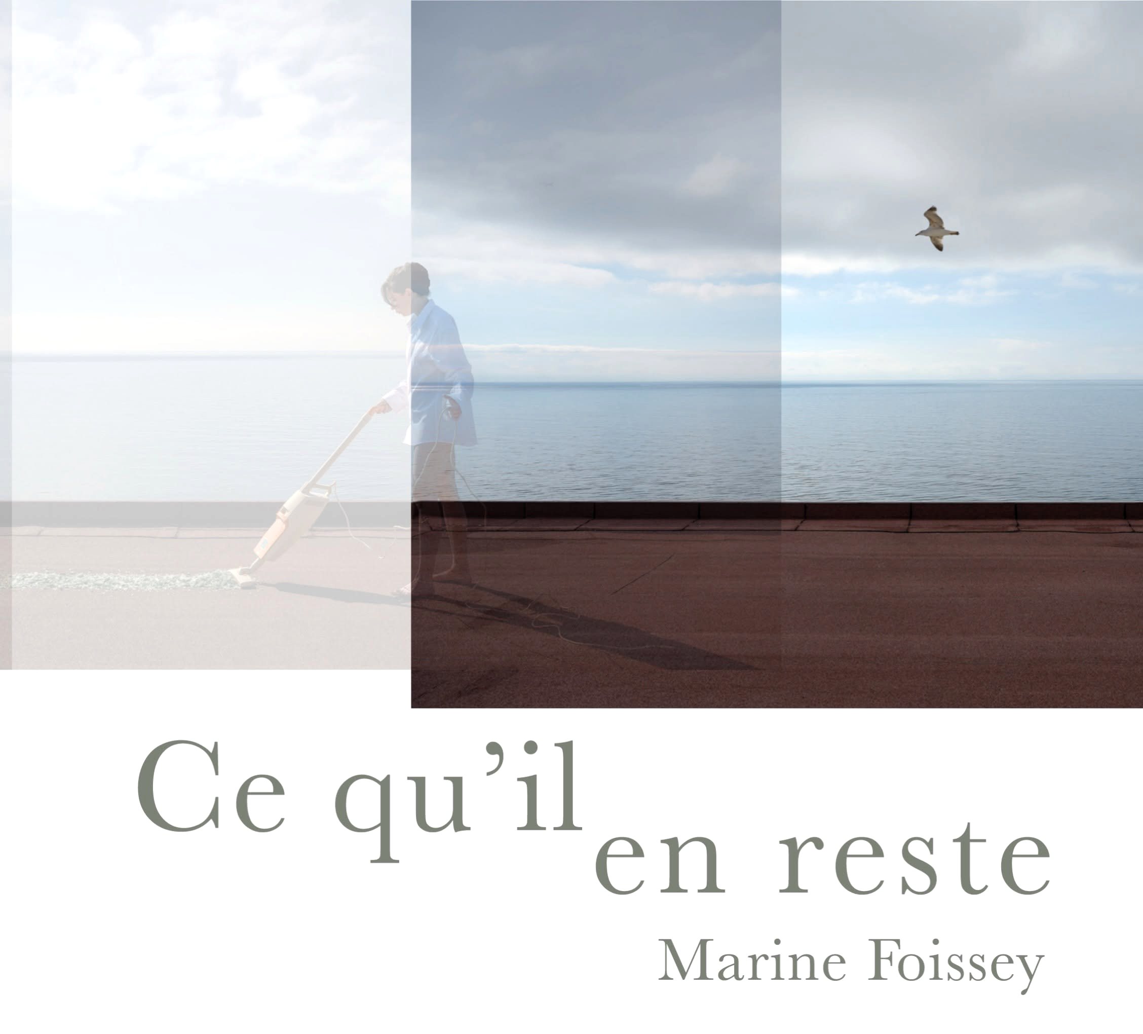 Exposition « Ce qu’il en reste » de Marine Foissey Exposition « Ce qu’il en reste » de Marine Foissey
